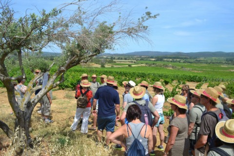 Les camins de boutenac 2021