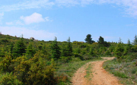 Le Mourel