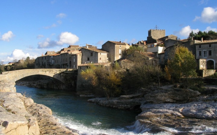 Ribaute