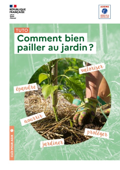 Guide - Comment bien pailler au jardin?