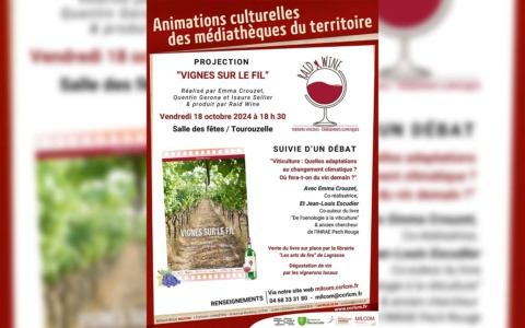 Vignes sur le fil