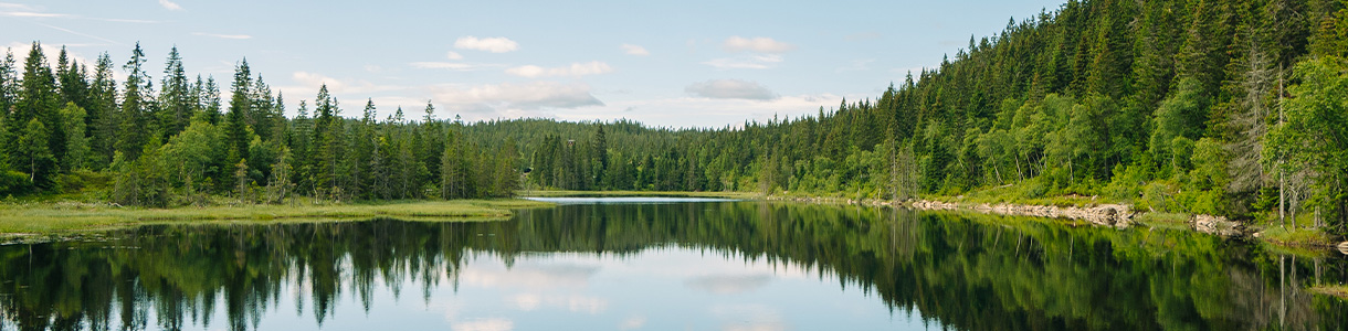 Eau et Assainissement Eau et Assainissement